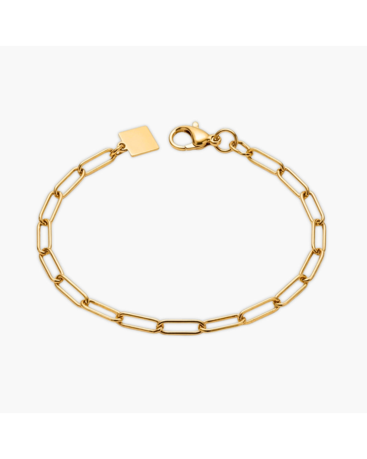 Antheia Bracelet, a polished 18K Gold PVD link bracelet.