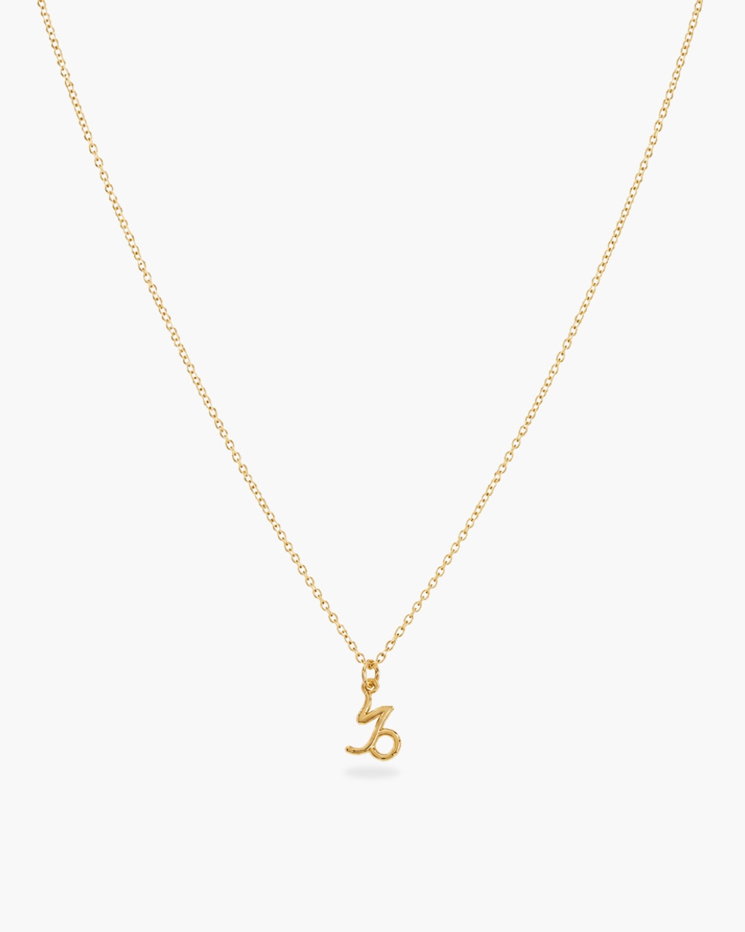 Gold-tone Capricorn zodiac pendant necklace on a fine adjustable chain.